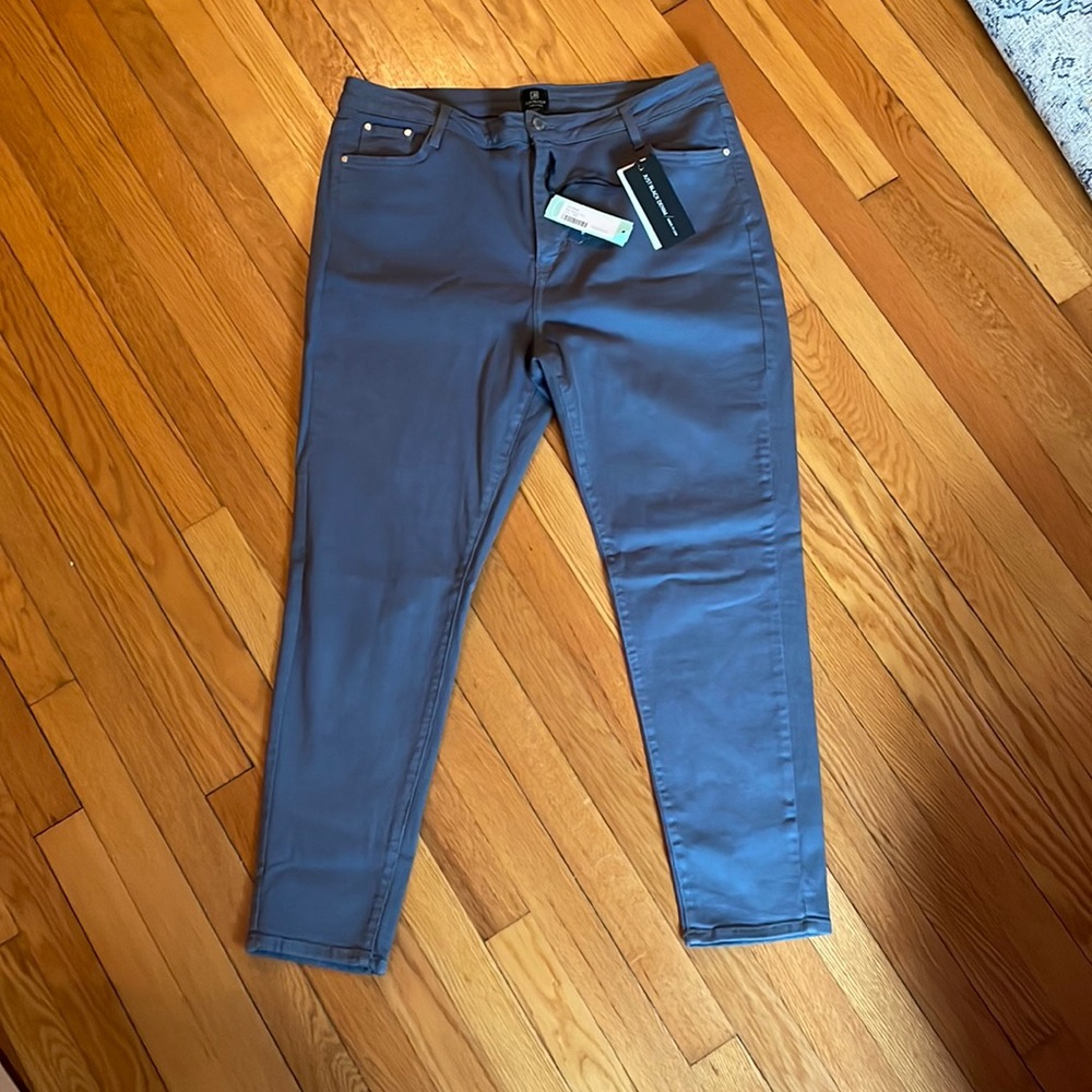 Gray, Plus Size (16x) skinny jeans.